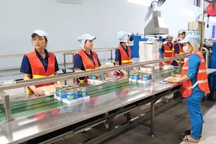 越南 加大对食品加工工业的投资力度